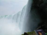 Nikita+Lenore Wedding Toronto - 190 